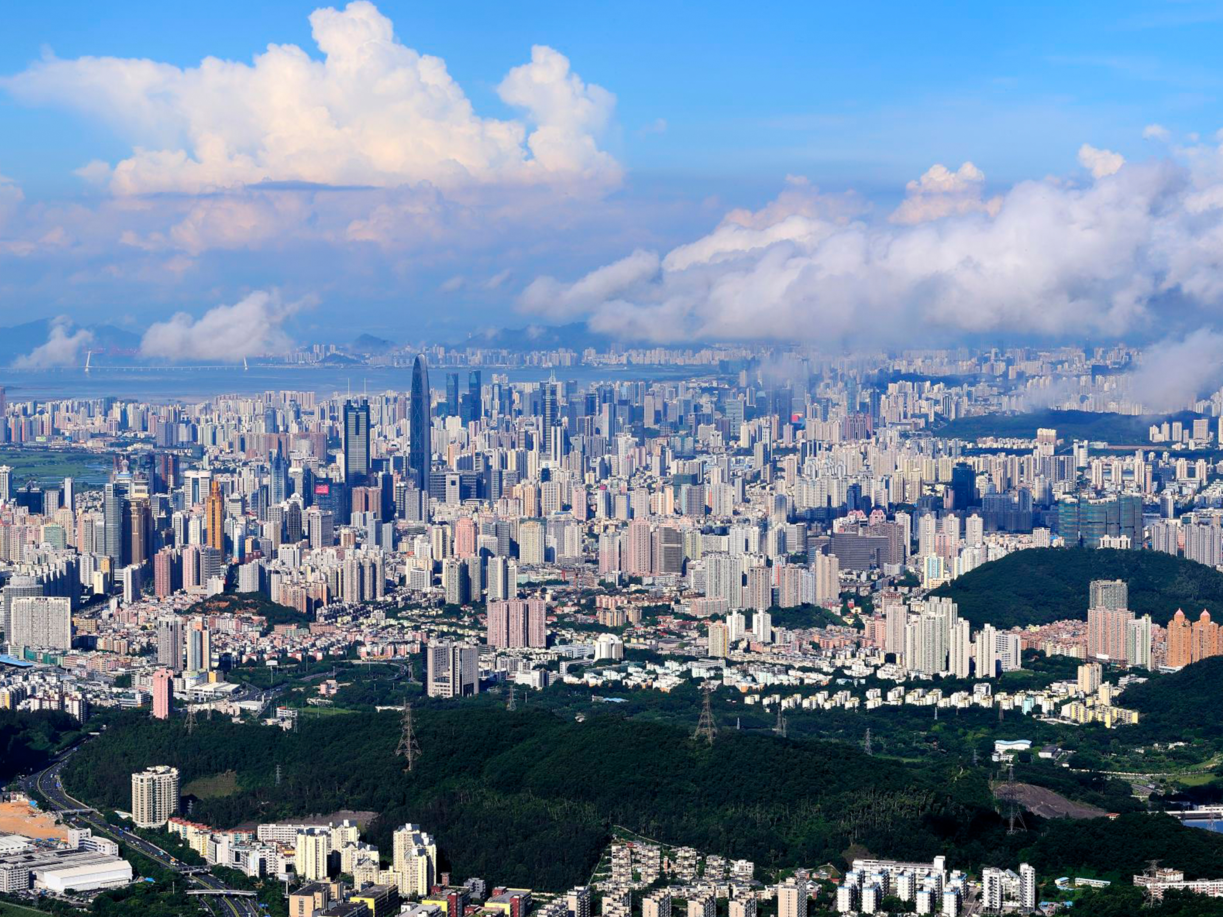 深圳市某工業(yè)中心城市更新單元生態(tài)修復(fù)專項研究